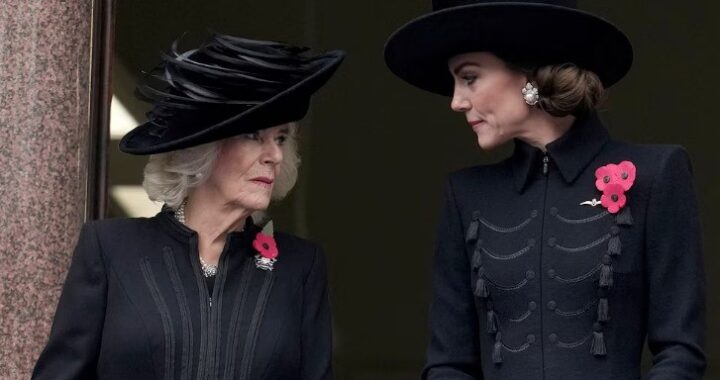 Mientras la princesa de Gales busca restablecer rol público, se intensifican conflictos con la reina consorte