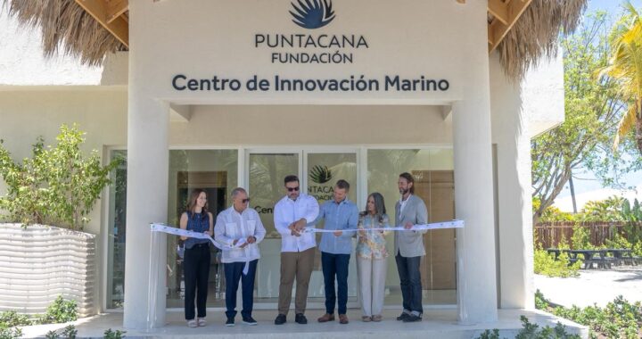 Degradación de corales preocupa en RD