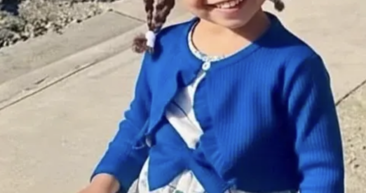 Siete meses sin respuestas sobre la desaparición de la niña Brianna Genao
