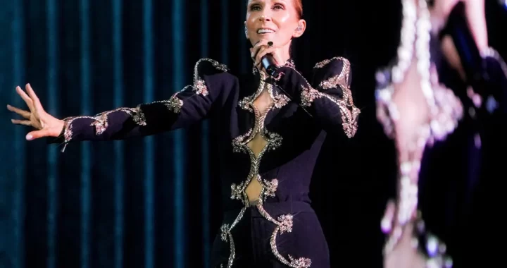 Celine Dion sufre caída durante concierto en Francia
